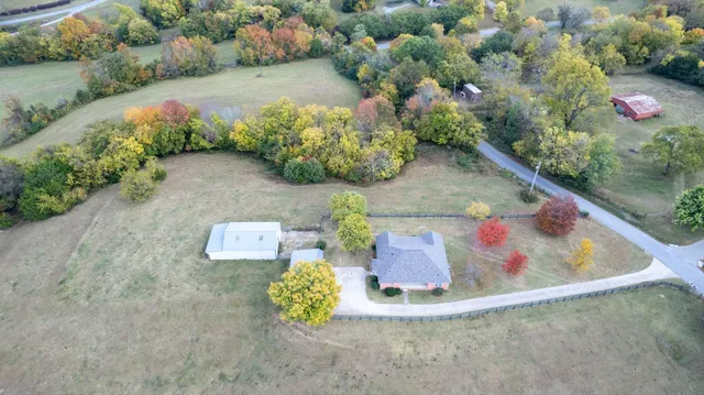 a view of a wooden floor and some plants