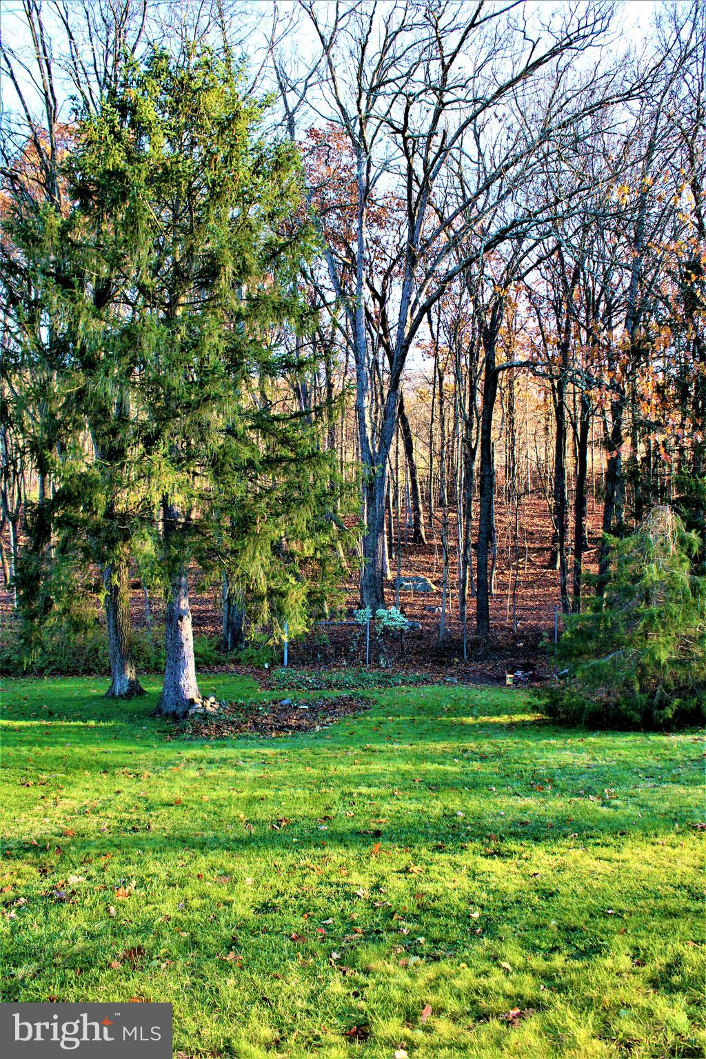 1148 Braddock Road La Vale, MD 21502 - Photo 8 of 30 Rear Yard View 1
