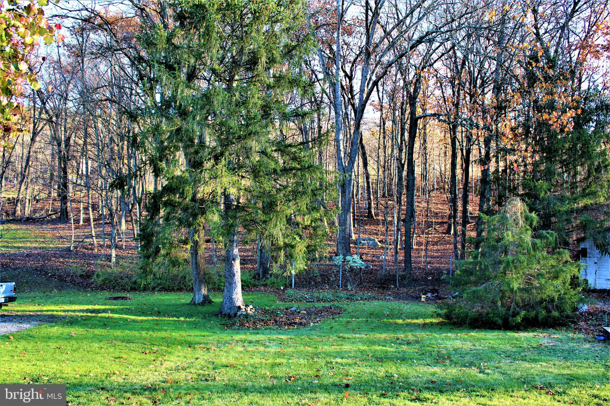1148 Braddock Road La Vale, MD 21502 - Photo 9 of 30 Rear Yard View 2