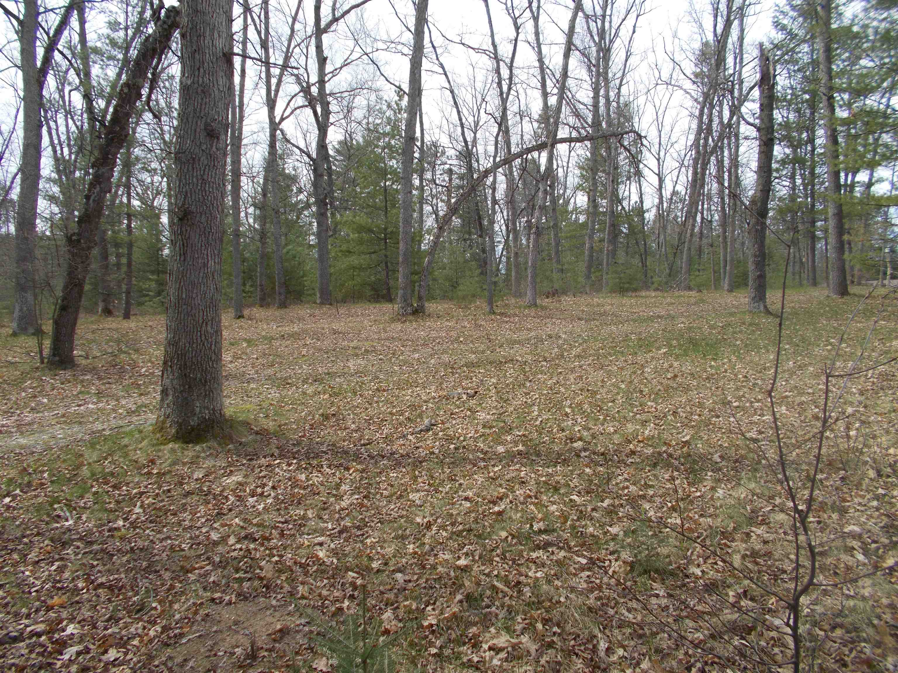 8263 Cedar Road South Branch, MI 48761 - Photo 14 of 25 1899601-13.JPG