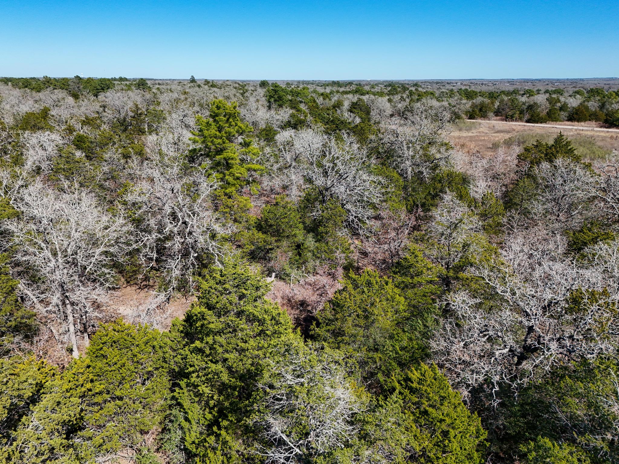 Lot 7 South Old Potato Road Paige, TX 78659 - Photo 9 of 22 Drone / aerial view