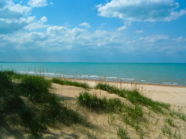 a view of a lake with a yard