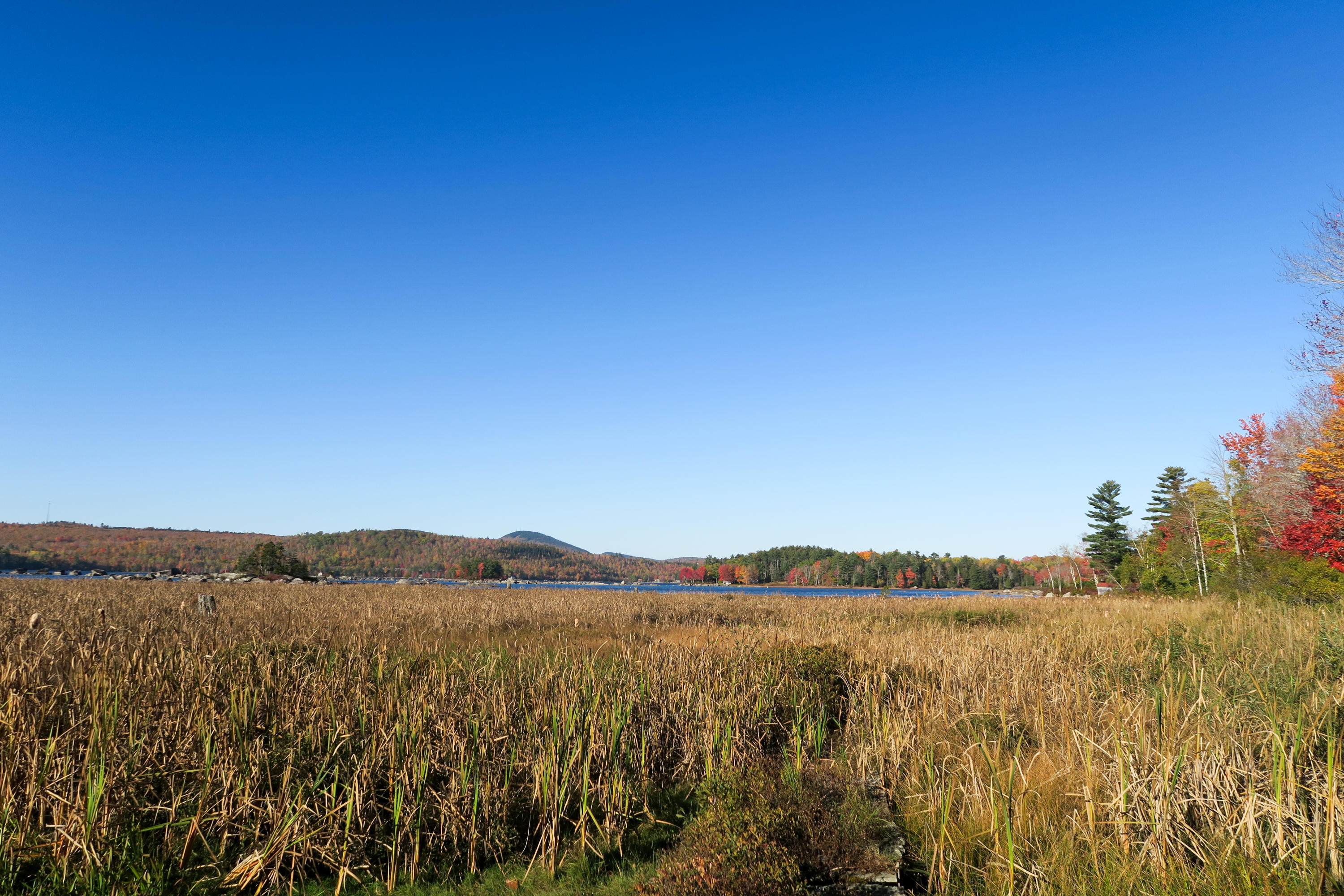 631 Green Lake Road Dedham, ME 04429 - Photo 14 of 18 Baker Place (Green Lake)-8