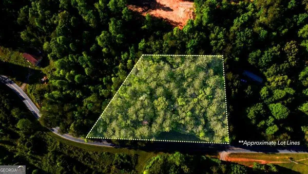 $45,000 | 3 West Gum Log Road, Warne, NC 28909