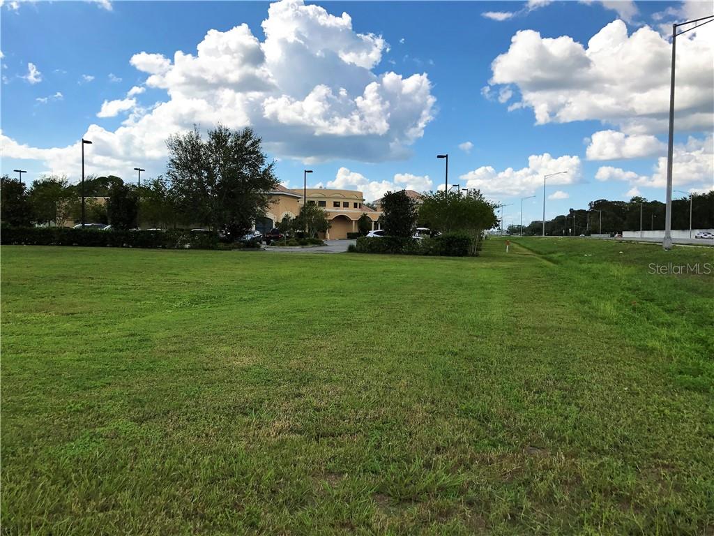 2000 Vindale Road Tavares, FL 32778 - Photo 15 of 17 a view of a big yard with palm trees