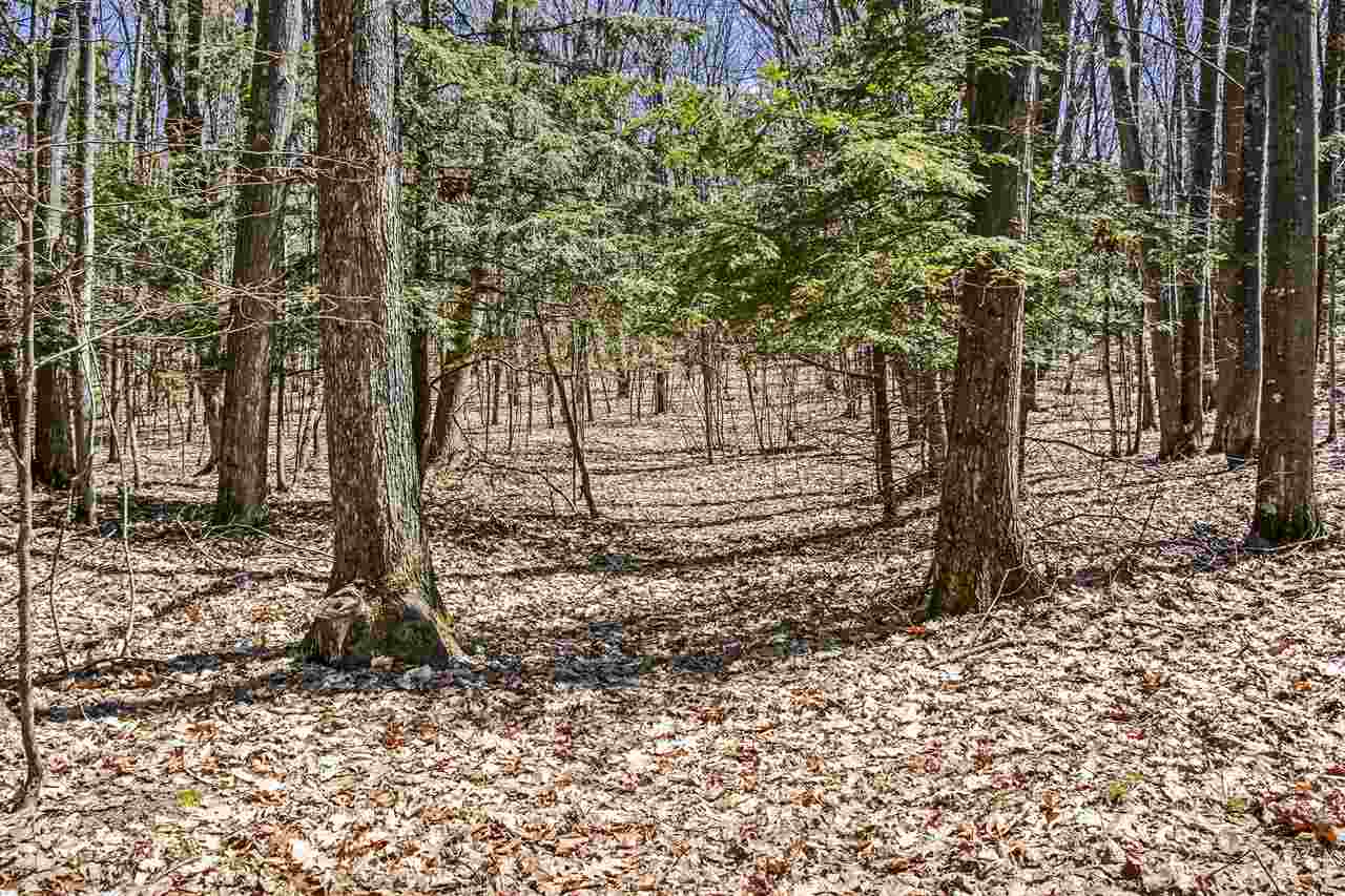20118 Center Road Traverse City, MI 49686 - Photo 51 of 70 1861378-50.JPG