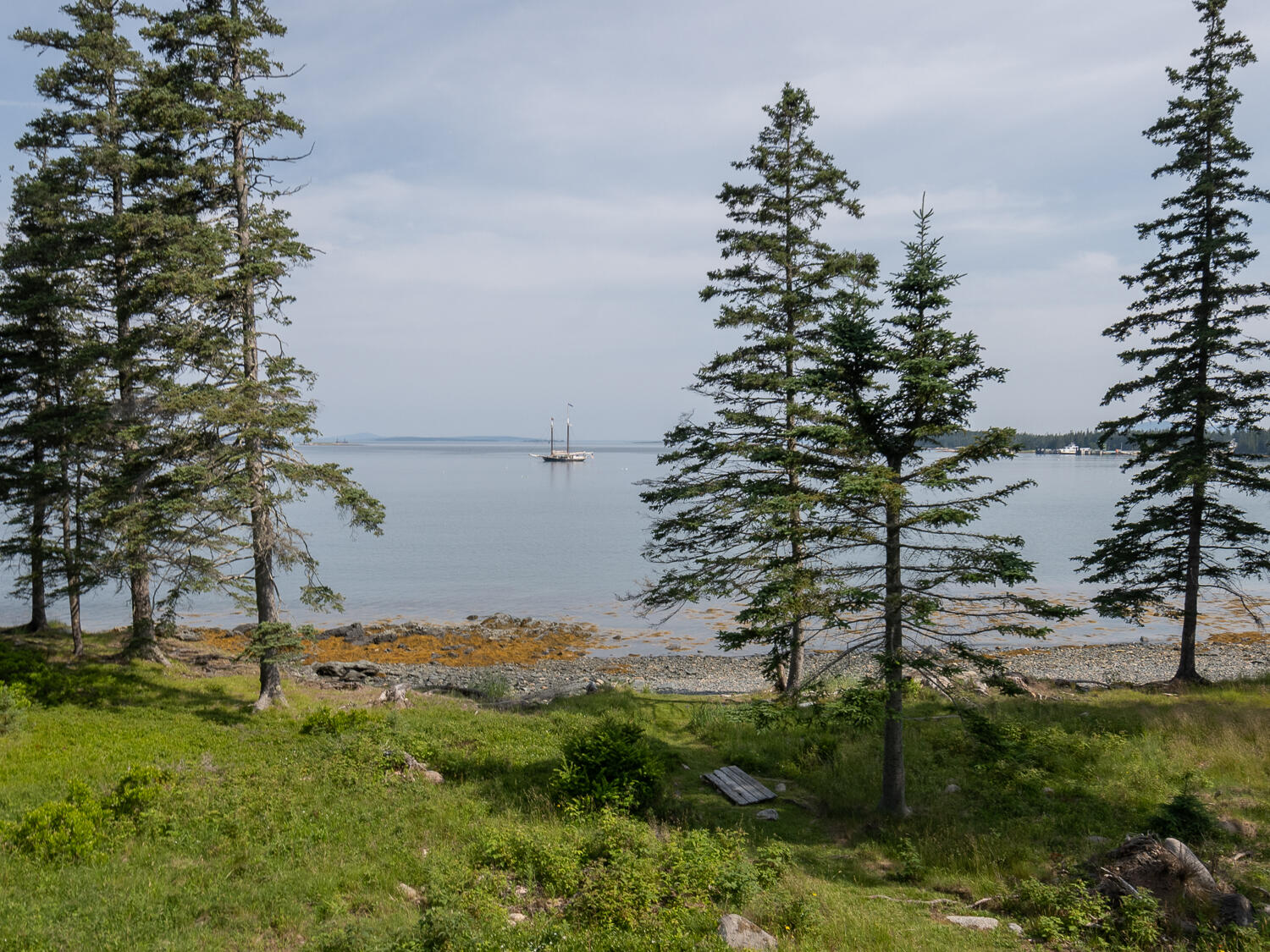 43 Steamboat Road Swans Island, ME 04685 - Photo 40 of 43 Serena