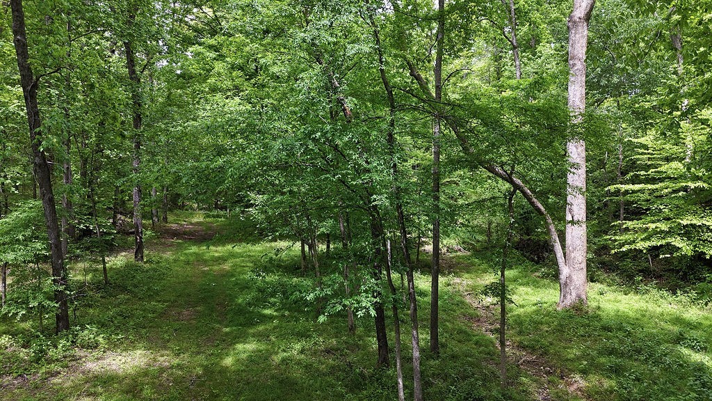 0 Billy Wynn Road Dickson, TN 37055 - Photo 25 of 44