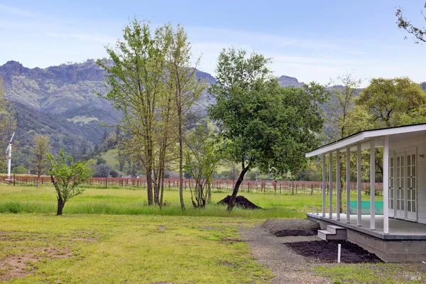 a view of a park with large trees