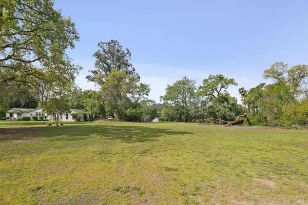 a view of a big yard with a large trees