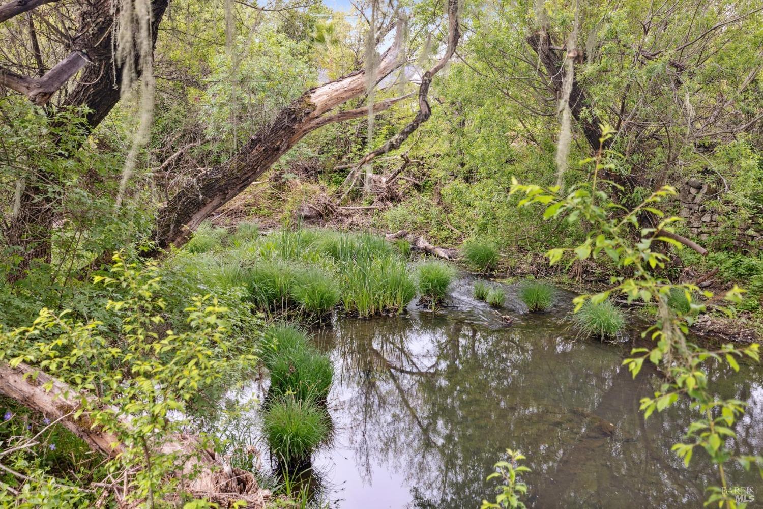 3048 Myrtledale Road Calistoga, CA 94515 - Photo 33 of 36