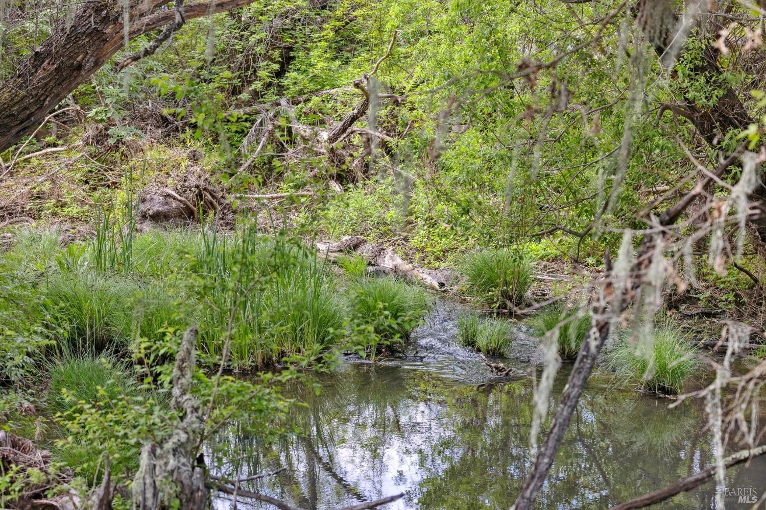 3048 Myrtledale Road Calistoga, CA 94515 - Photo 34 of 36