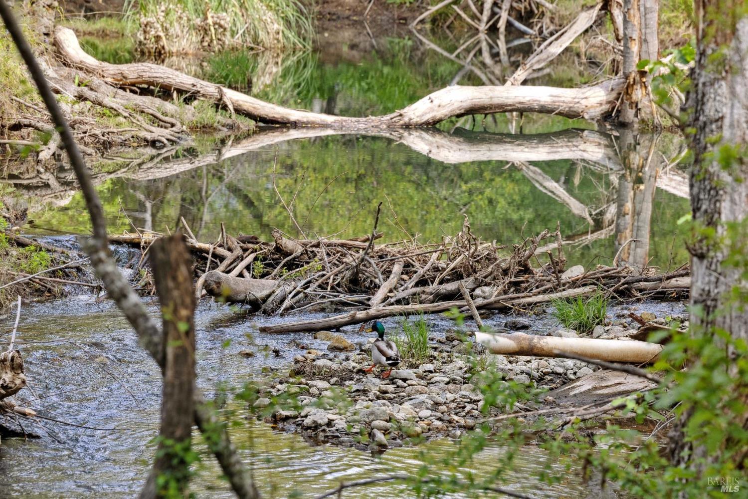 3048 Myrtledale Road Calistoga, CA 94515 - Photo 35 of 36