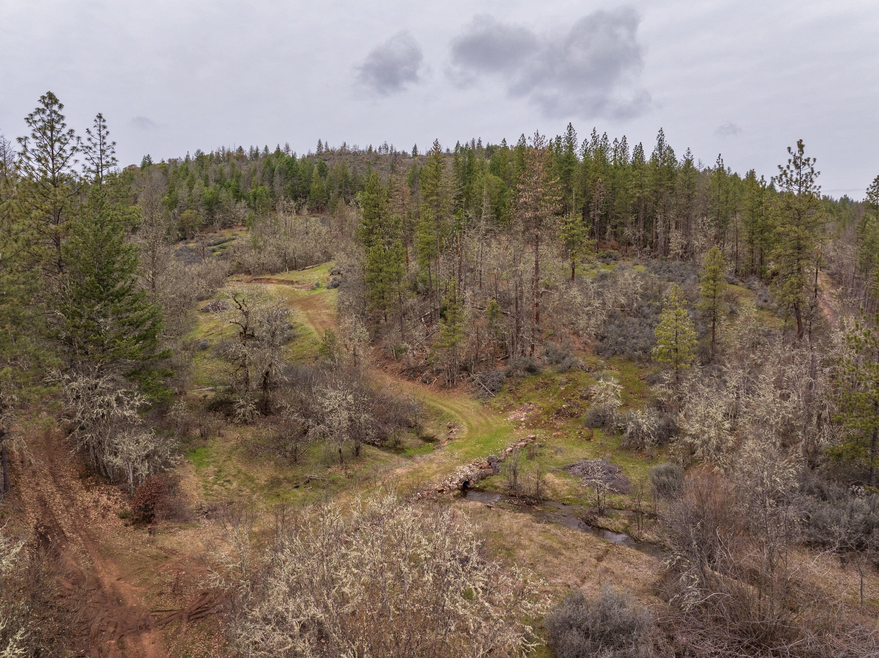 2527 Crowfoot Road Eagle Point, OR 97524 - Photo 20 of 24 2527CrowfootRd-021