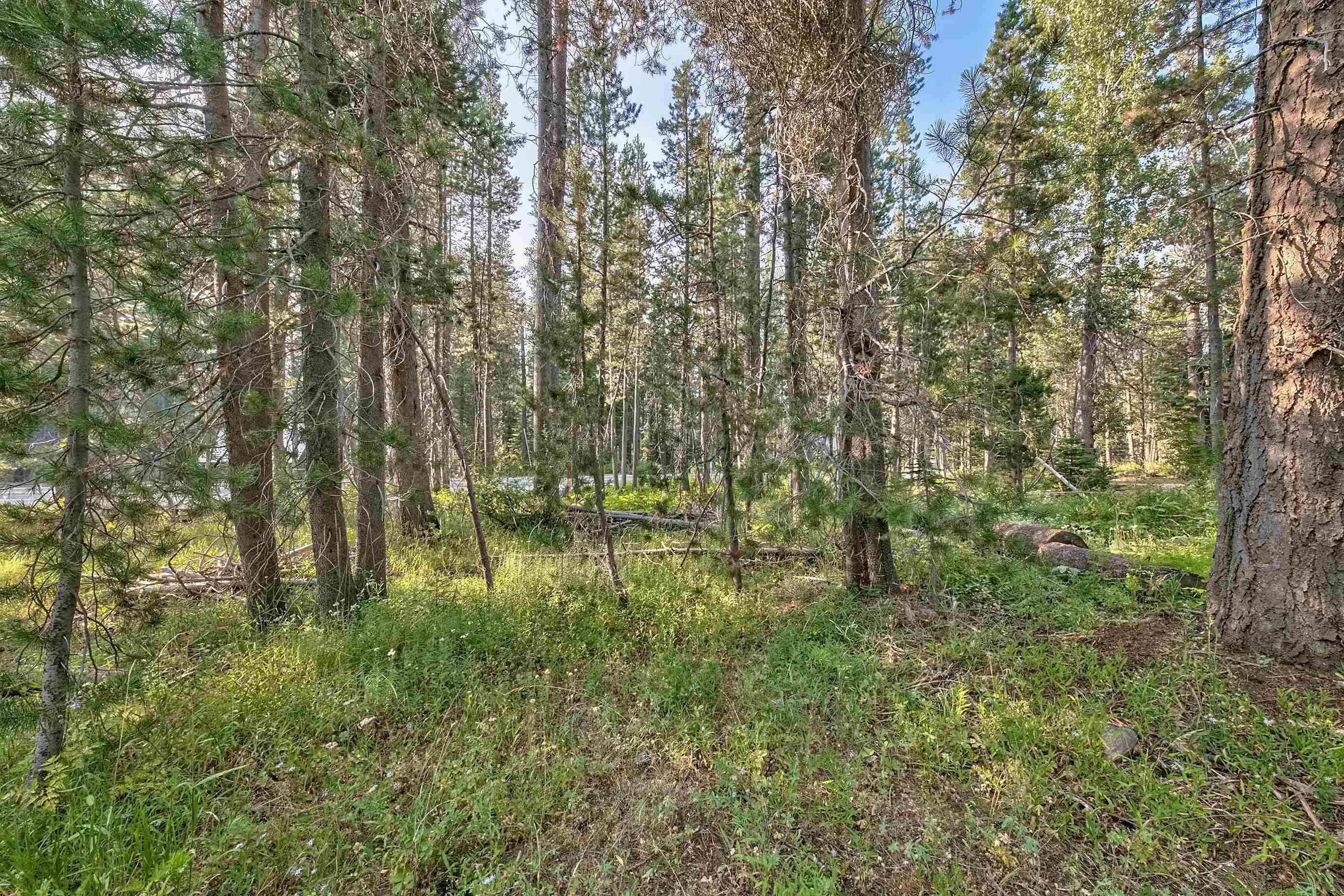 51357 Donner Pass Road Soda Springs, CA 95728 - Photo 15 of 17