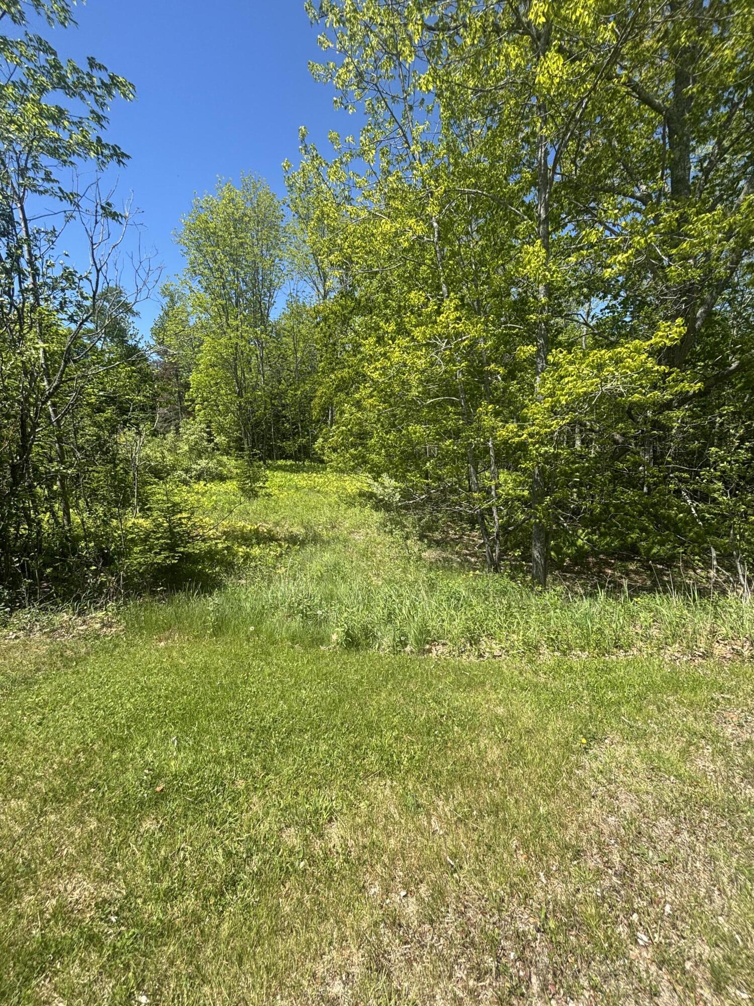 954 Cape Rosier Road Brooksville, ME 04642 - Photo 5 of 7