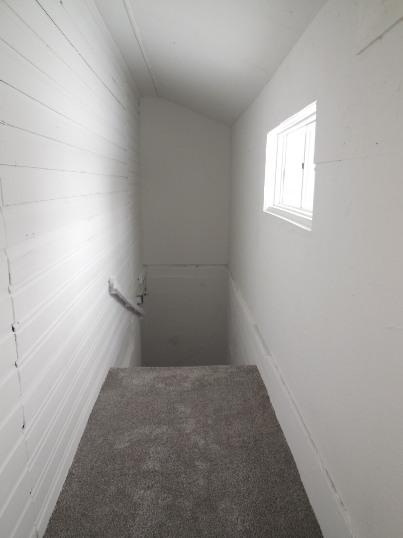 218 West Erie Street Spring Valley, IL 61362 - Photo 15 of 18 Gallery Image 15