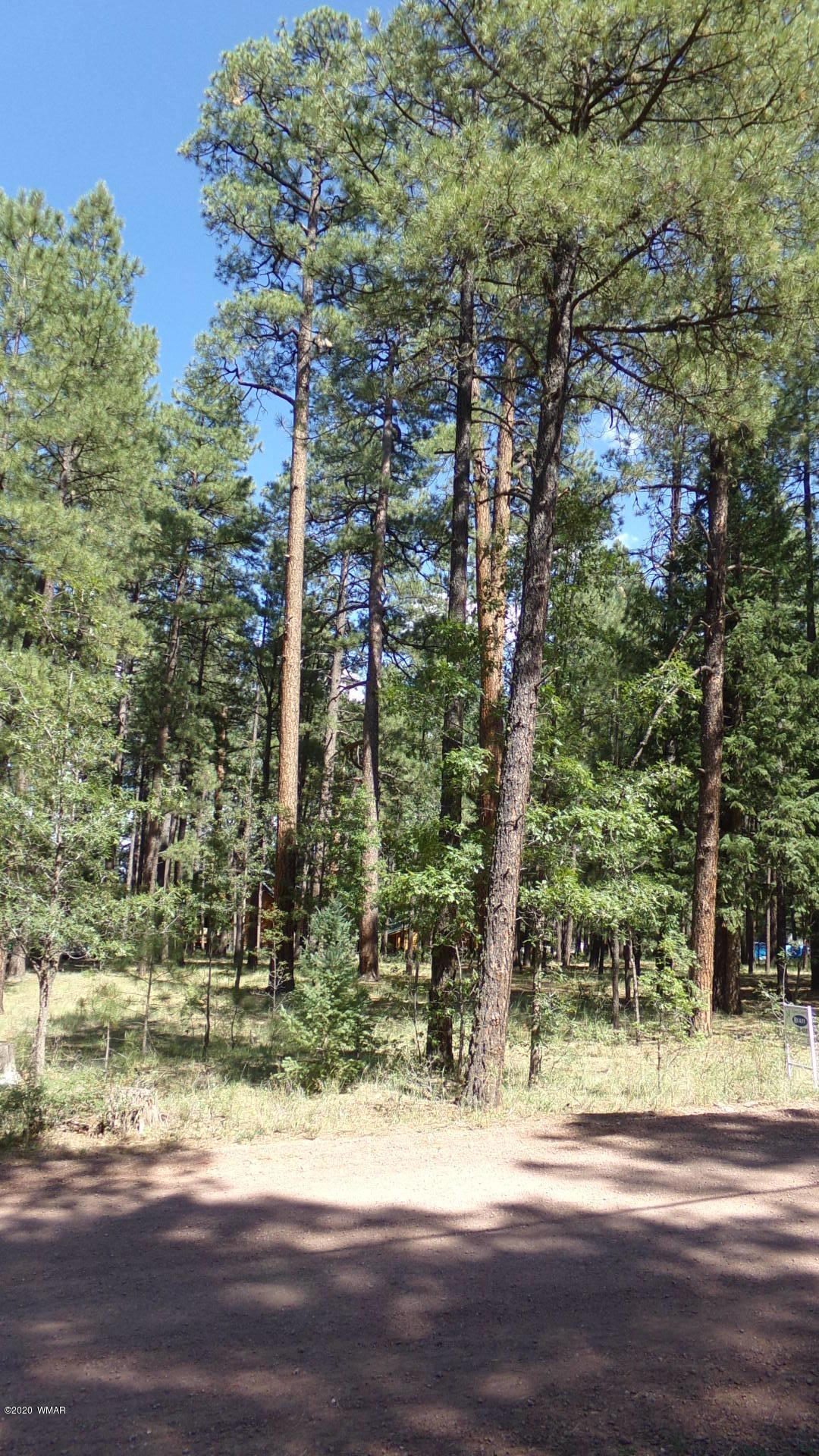 16 County Road Alpine, AZ 85920 - Photo 2 of 7