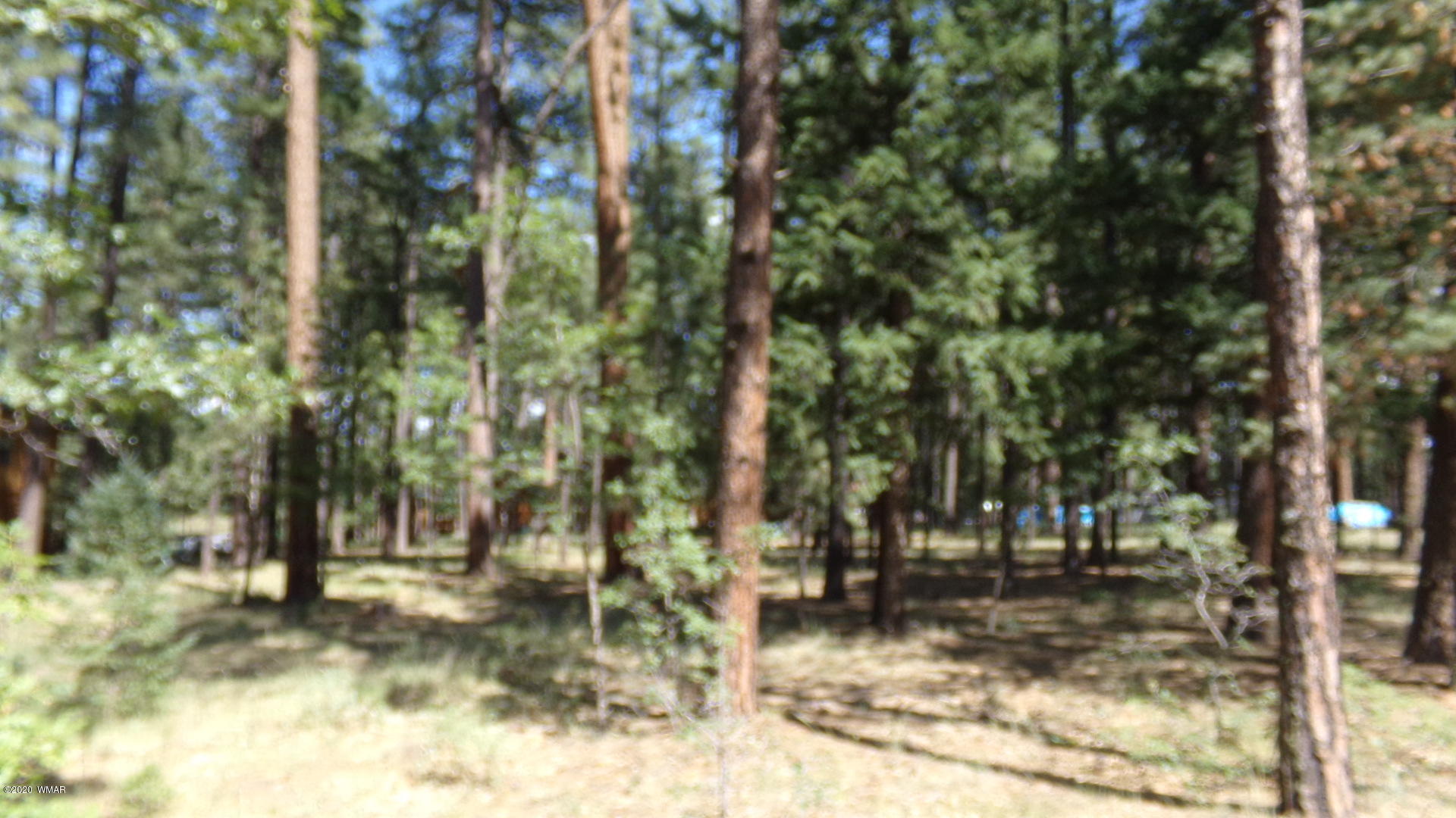 16 County Road Alpine, AZ 85920 - Photo 3 of 7