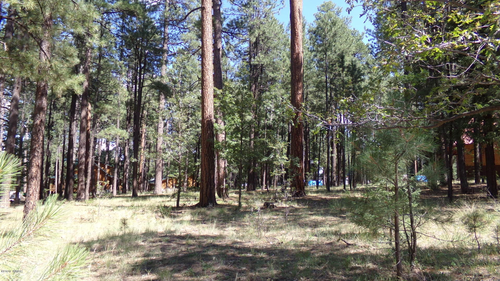 16 County Road Alpine, AZ 85920 - Photo 4 of 7