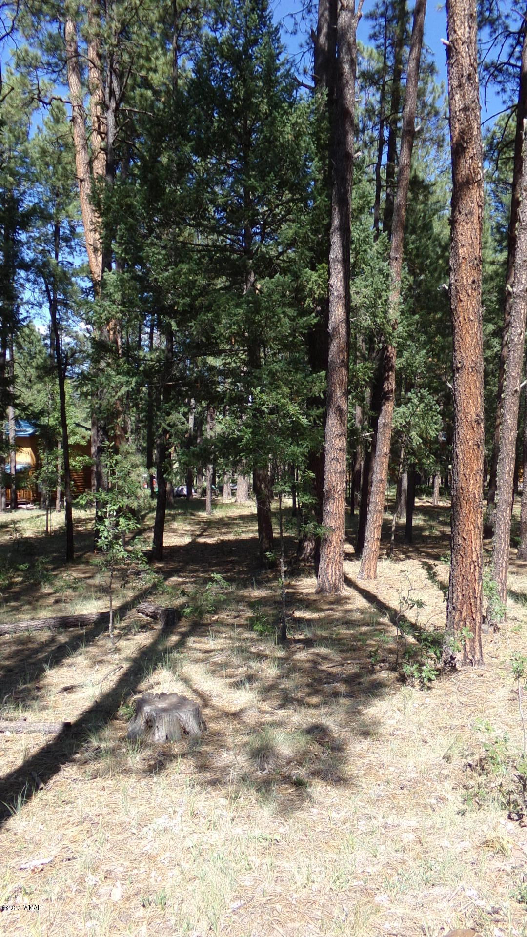 16 County Road Alpine, AZ 85920 - Photo 5 of 7