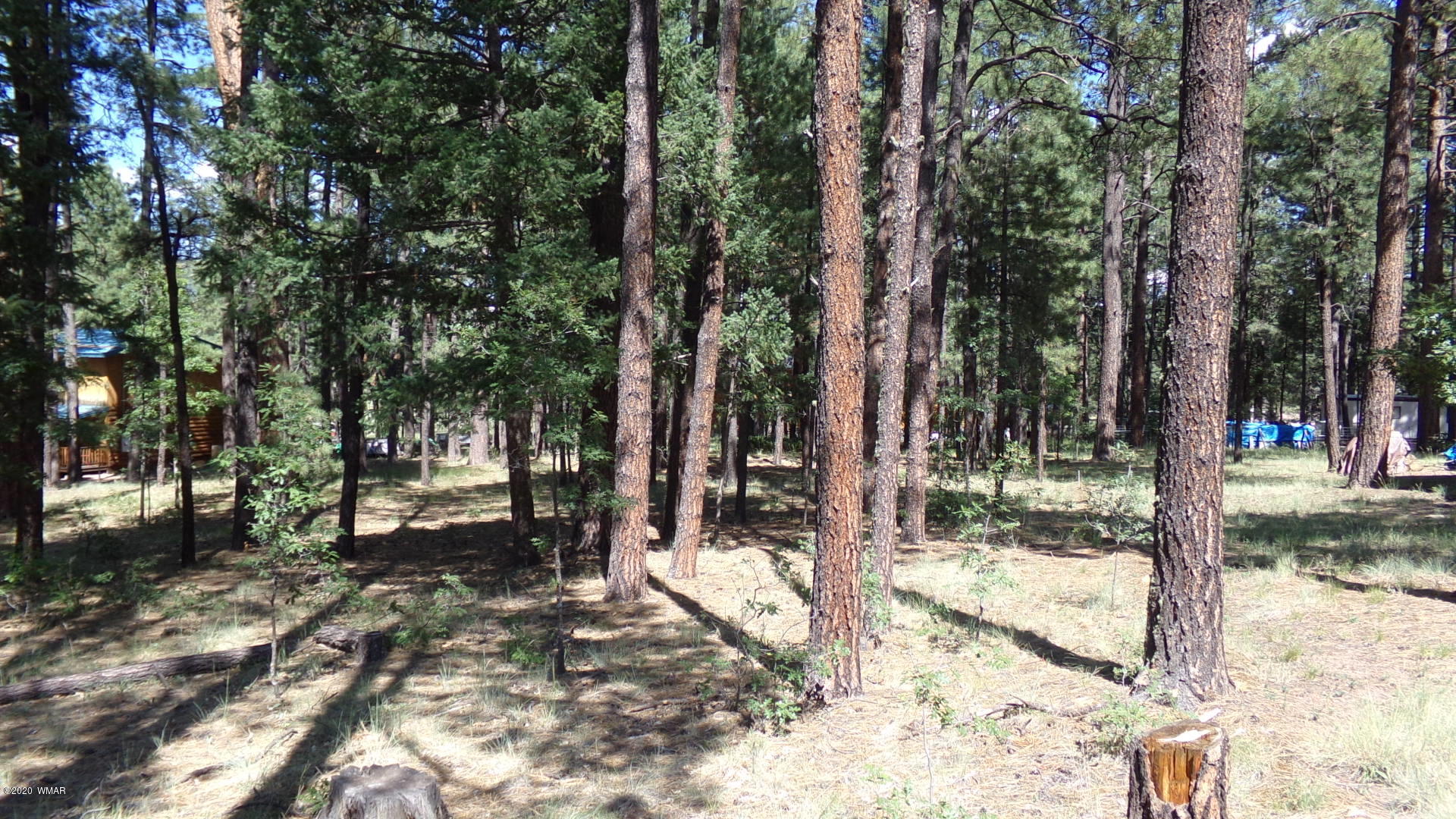 16 County Road Alpine, AZ 85920 - Photo 6 of 7