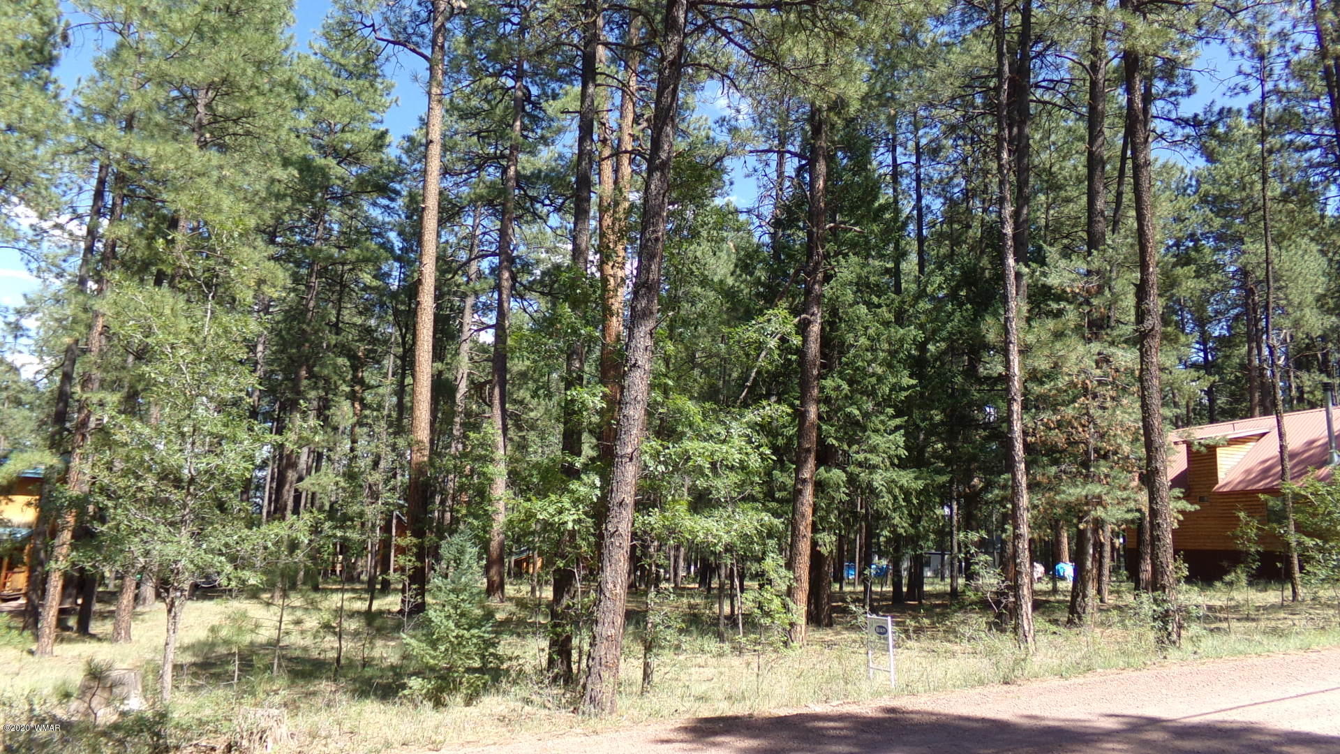 16 County Road Alpine, AZ 85920 - Photo 7 of 7