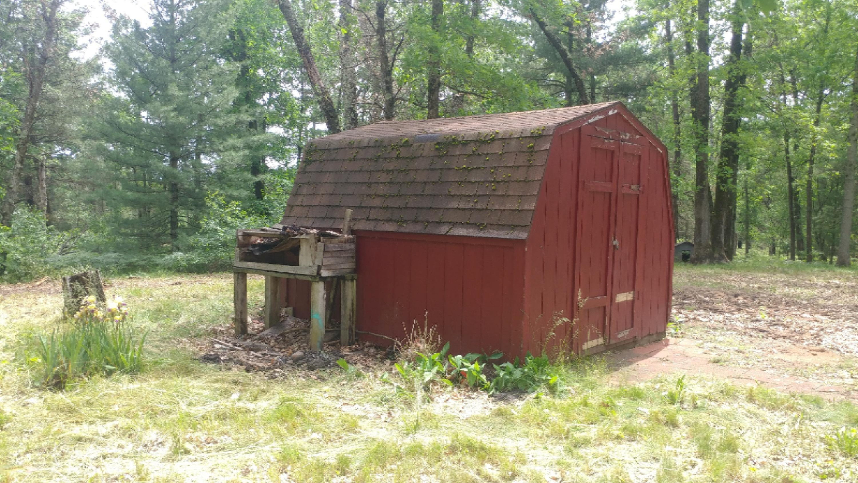 6756 South Astor Road Baldwin, MI 49304 - Photo 6 of 23 0620191327b