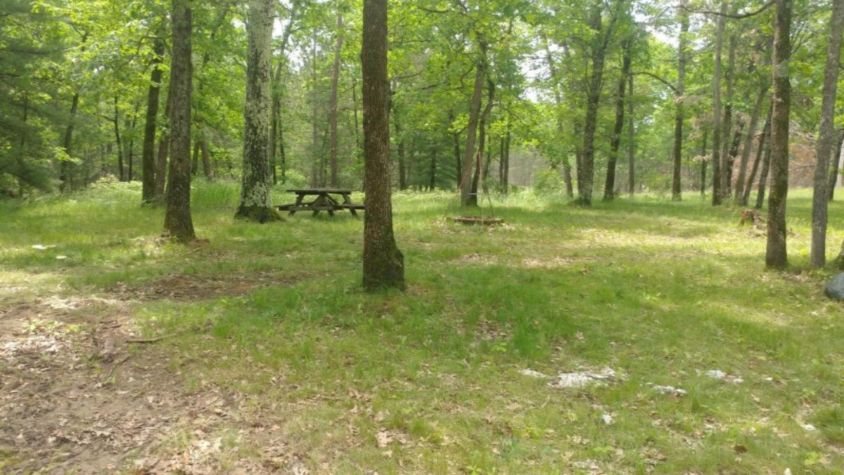 6756 South Astor Road Baldwin, MI 49304 - Photo 9 of 23 0620191328a
