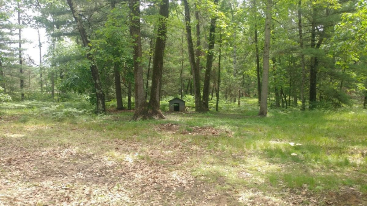6756 South Astor Road Baldwin, MI 49304 - Photo 10 of 23 0620191328b