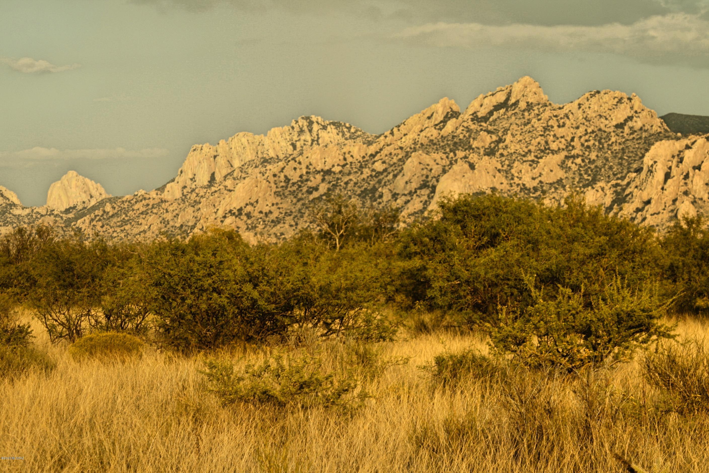 Lot 16 North Dragoon Ranch Rd Street, Unit 16 St. David, AZ 85630 - Photo 14 of 25