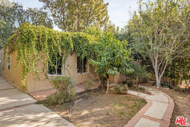 a view of a yard with plants and trees