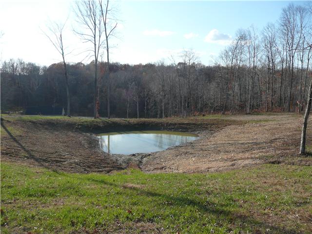 1260 Rogues Fork Road Bethpage, TN 37022 - Photo 4 of 13
