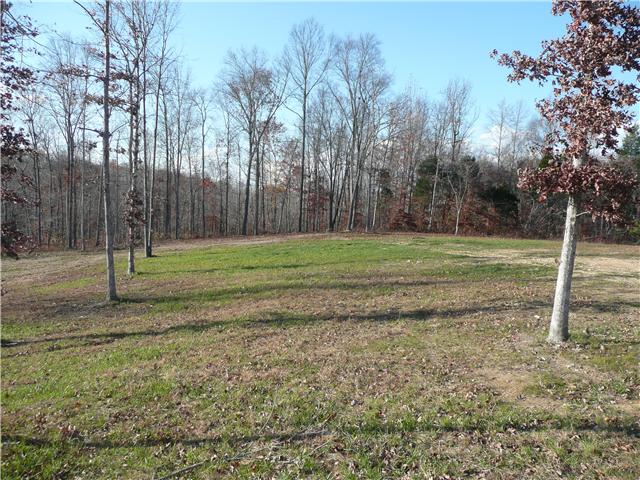 1260 Rogues Fork Road Bethpage, TN 37022 - Photo 5 of 13