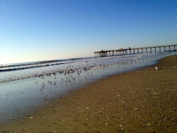 a view of an ocean beach
