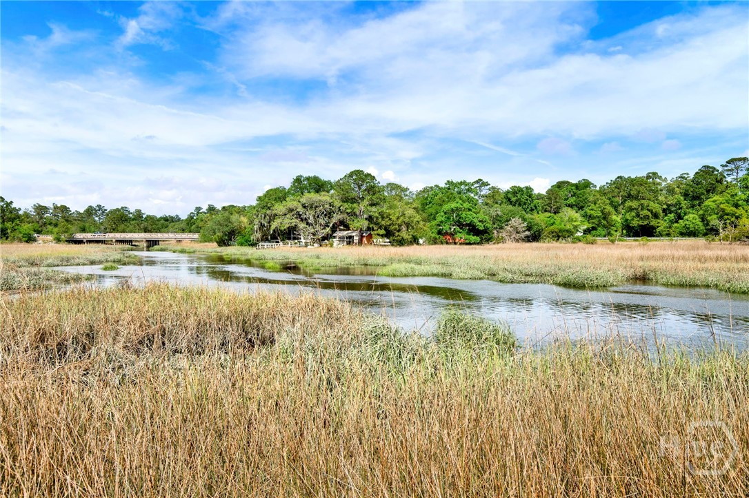8720 Rivers End Drive Savannah, GA 31406 - Photo 45 of 52