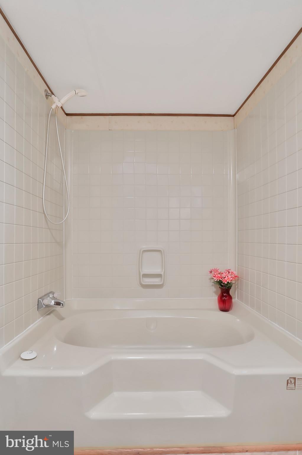 495 Downing Farm Road Front Royal, VA 22630 - Photo 31 of 36 Owners Suite with soaking tub