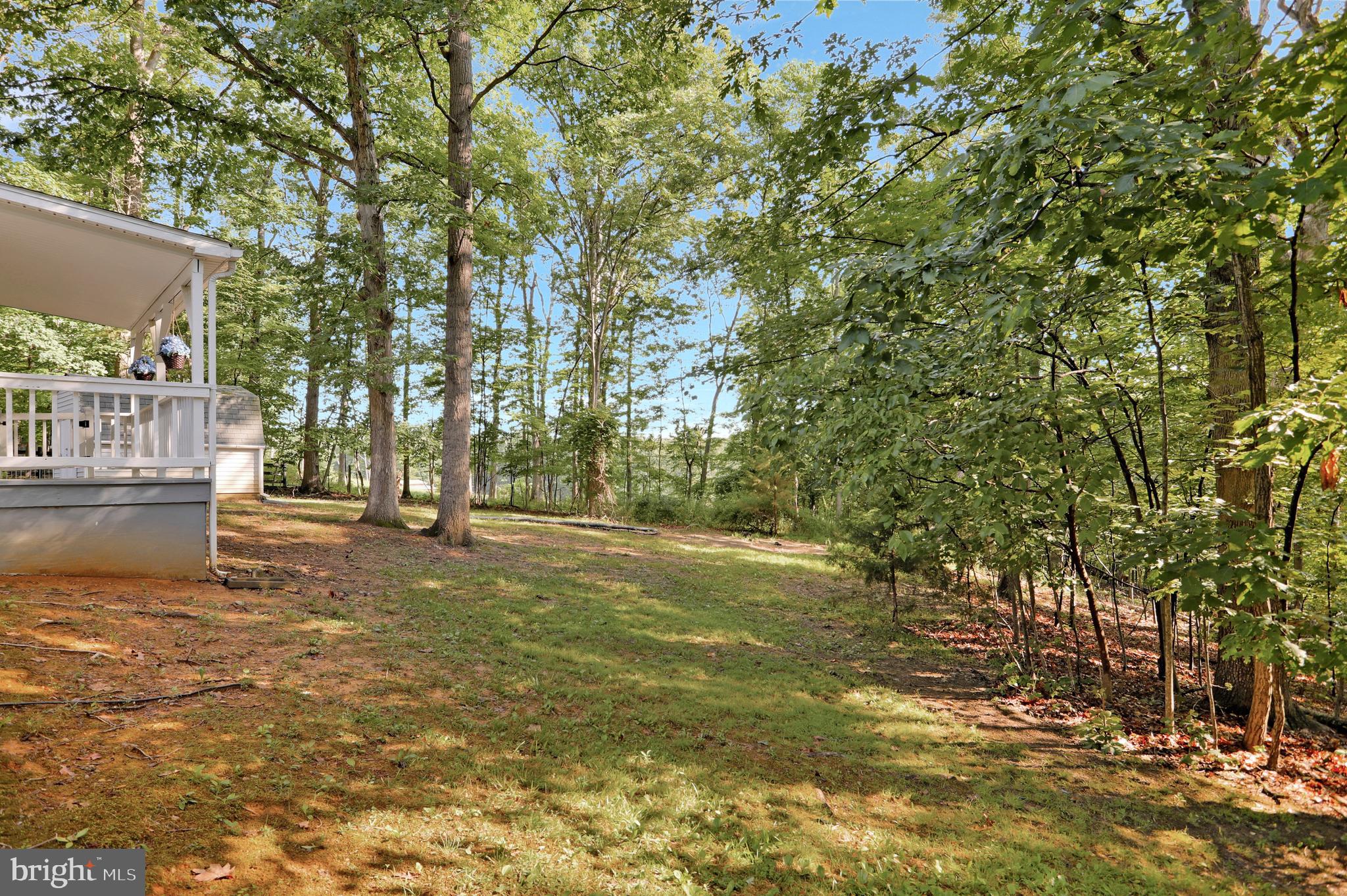 495 Downing Farm Road Front Royal, VA 22630 - Photo 8 of 36 Private rear yard