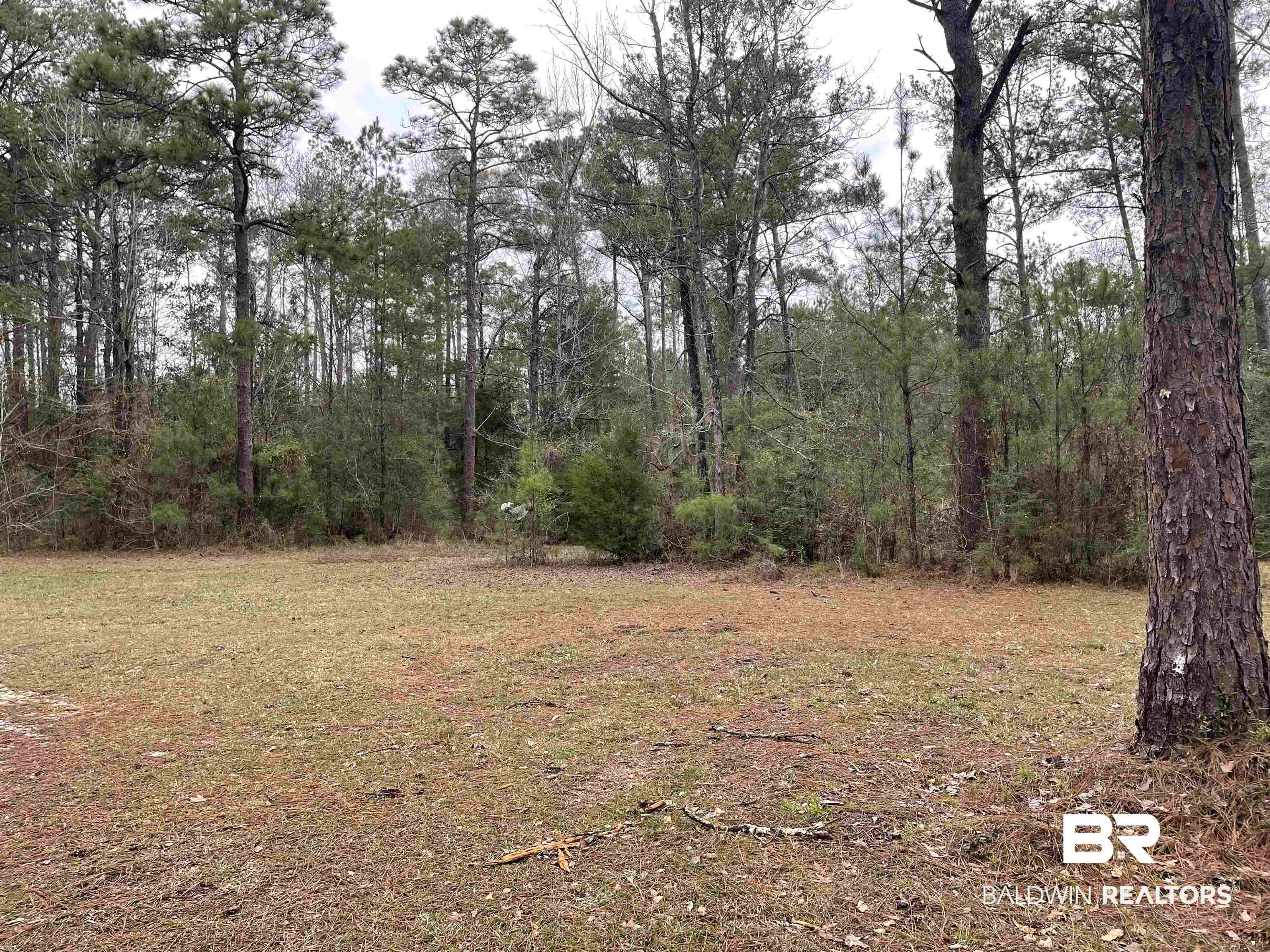 1245 Forrest Avenue Brewton, AL 36426 - Photo 7 of 24