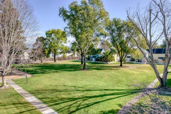 a view of yard with tree
