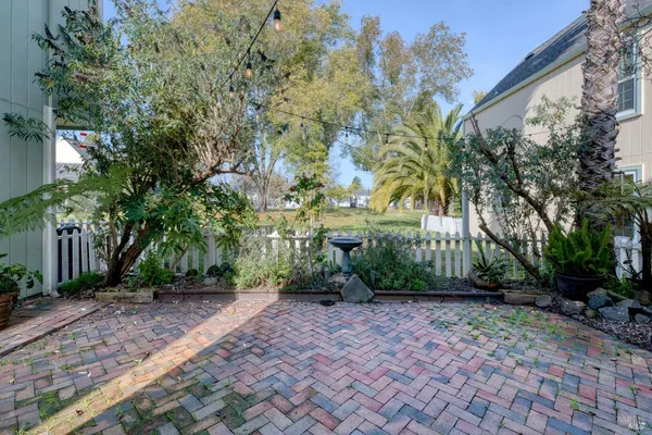a view of backyard with plants and trees