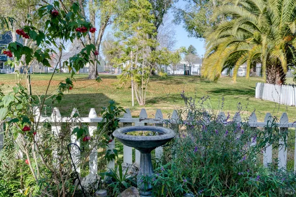 a view of a garden with a table and chairs