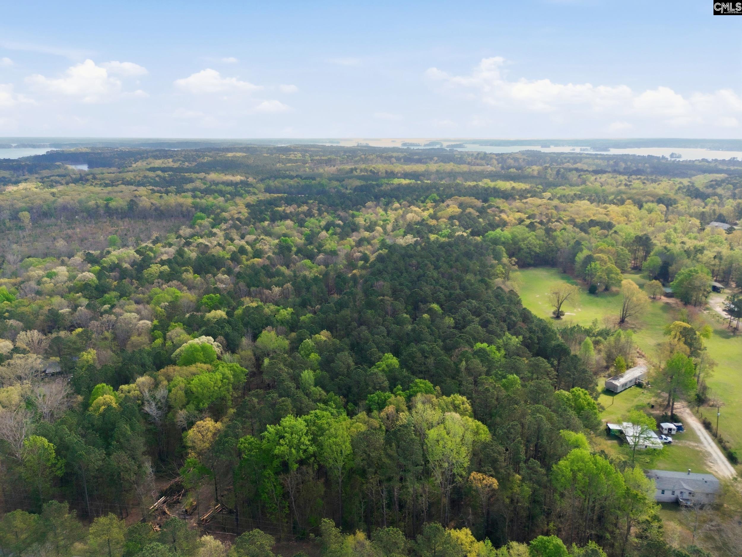 0 Wildwood Rd Extension Leesville, SC 29070 - Photo 4 of 16