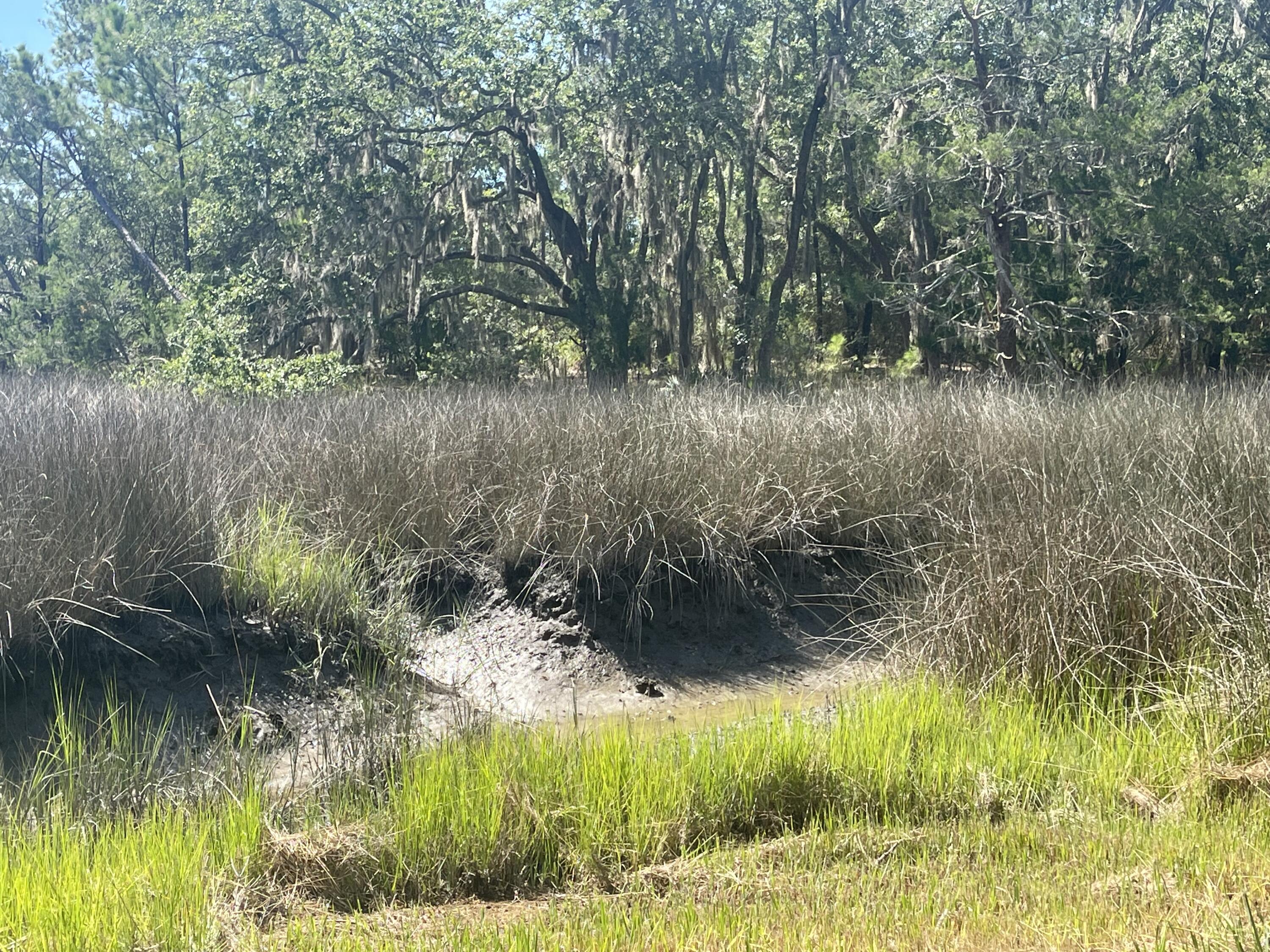 15014 Bennetts Point Road Green Pond, SC 29446 - Photo 25 of 53 IMG_0402