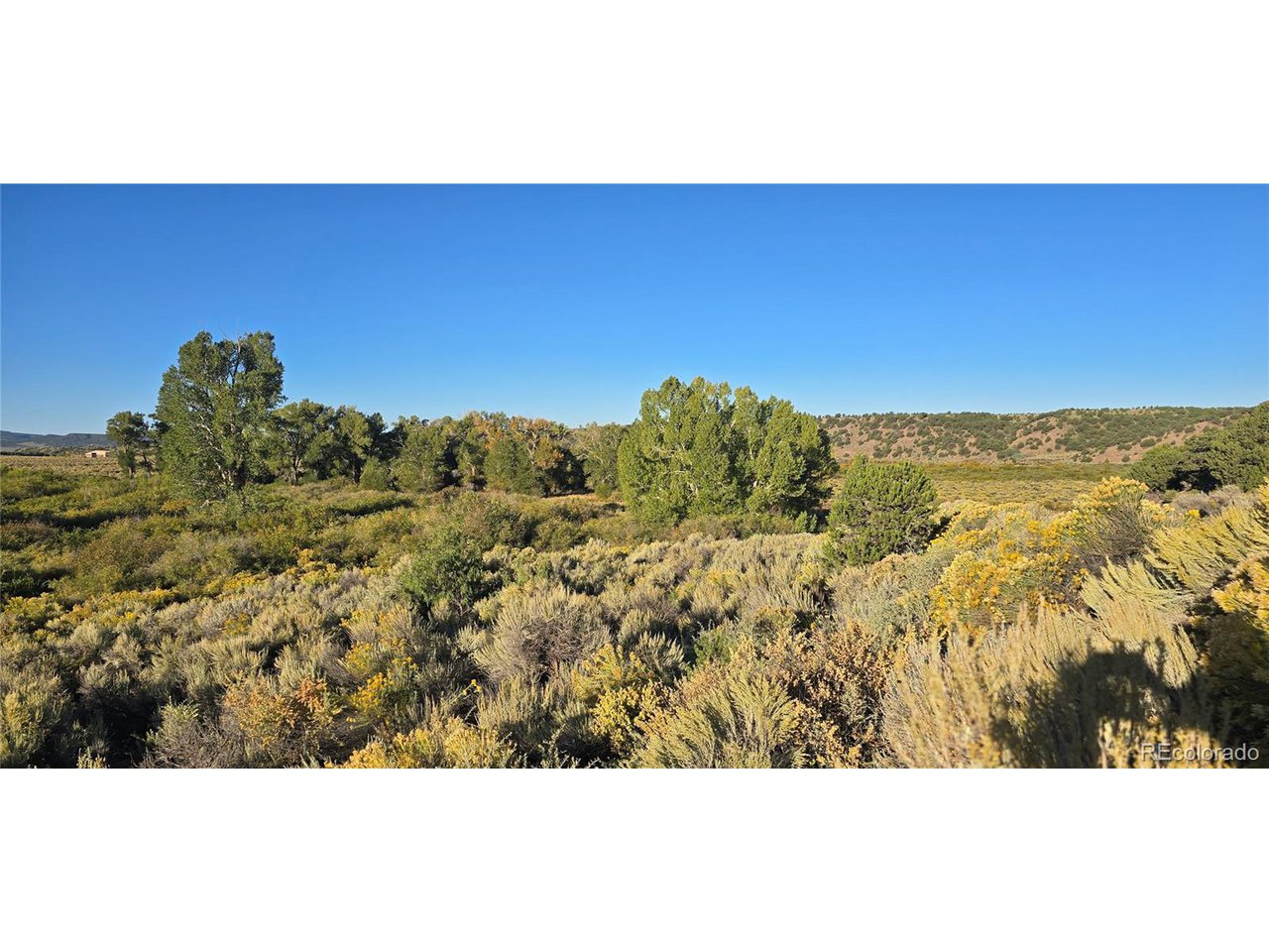 4248 Ehrenclow Road Fort Garland, CO 81133 - Photo 7 of 26 Gallery Image 7
