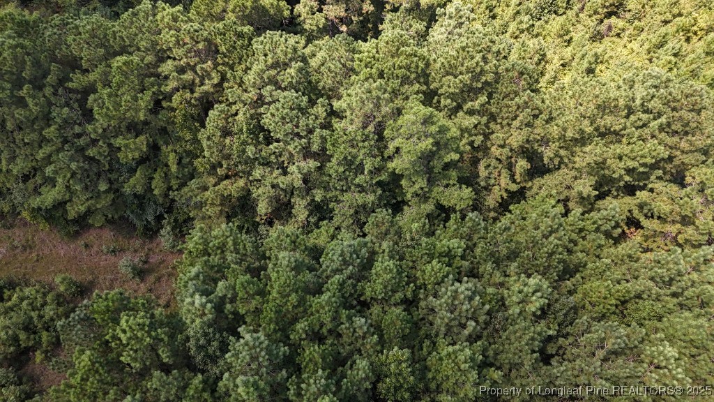 1334 Rice Road Lumberton, NC 28358 - Photo 11 of 25