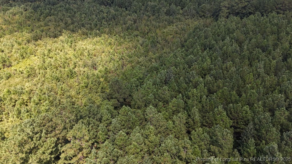 1334 Rice Road Lumberton, NC 28358 - Photo 12 of 25