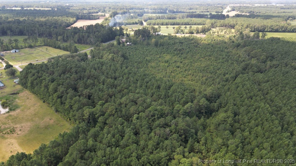 1334 Rice Road Lumberton, NC 28358 - Photo 24 of 25