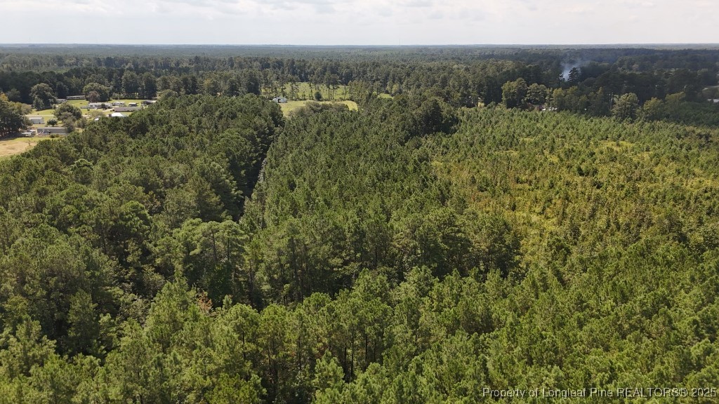 1334 Rice Road Lumberton, NC 28358 - Photo 3 of 25