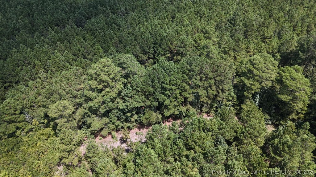 1334 Rice Road Lumberton, NC 28358 - Photo 5 of 25